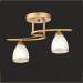 Chandelier Ceiling Lamp Down Light