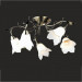 Chandelier Ceiling Lamp Greative Lamps (GX-6066-5)