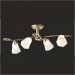 Chandelier Ceiling Lamp Light