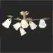 Chandelier Ceiling Lamps Down Lamp