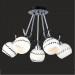 Chandeliers Ceiling Lamps