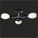 Chandeliers Ceiling Lights