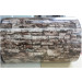 Color Steel Coil