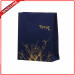 Custom Shopping Matte Laminated Paper Bag for Euro Shopper