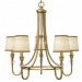 Decorative Iron Chandelier Lamp (C002-5)