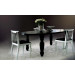 Dining Table Wooden Dining Table Modern Design (LS-211)