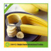Fruit Cutter, Banana Cutter, Banana Slicer, Banana Cutting, Fruit Knife Y95249