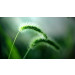 Test Bit Product 2