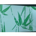 Green Bamboo Prepainted Steel Coil