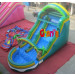 Green Inflatable Kids Water Slide with Pool for Sale (CHSL250)