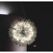 High Quality Modern Glass Fancy Home Light (730S3)