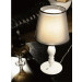 High Quality Shining White Carbon Steel+ABS Table Light (1046T2)