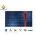 Hot Sale Powerful 215W Polycrystalline PV Solar Panel