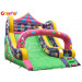 Inflatable Slide/Colorful Inflatable Slide for Sale Bb105