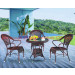 Iron Frame Wicker Leisure Garden Dining Set (JJ-S433&571)