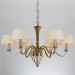 Iron Lighting for Decoration (SL2110-6)