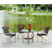 Iron Metal Bistro Rattan Outdoor Garden Dining Patio Furniture (JJ-S309&576)