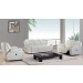 Lazy Boy Sofa Recliner Sofa (E-8969)