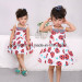 Lovely Baby Girl Dress for 1-5 Years Old Girls (3012#)