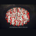 Modern Crystal Ceiling Lamp Home Lighting Fixture Pendant Lamp Chandelier Model: Em3371-24L