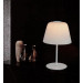 Modern Glass Carbon Steel Table Lights for Bedroom (913T2)