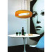 Modern Hanging Orange PC Pendant Lighting (667S)