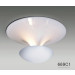 Modern High Quality Home Carbon Steel Ceiling Lamps (669C1)