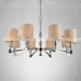 Modern Iron Pendant Light with CE (SL2013-8)