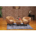 Modern Rattan Furniture Living Room Coffee Table Chair