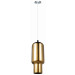 Modern Single Glass Pendant Lamps (MD4126-1CH)