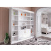 Modern White Artistic Decoration Wine Cabinet (ZS11172)