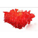 Murano Glass Chandelier Lighting Decor with Modern Design
