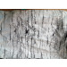 New Prints of Silk Cdc Fabric