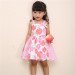 Nice Baby Clothes, Red Little Girl Dress (9177#)