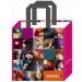 Now Woven Laminated Bag