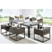 Outdoor Garden Dining Patio Rattan Table and Chair (JJ-S726)
