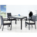 Outdoor Garden Synthetic Rattan Wicker Aluminium Dining Chair (JJ-S761)