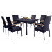Outdoor/Indoor PE Rattan Dining Set with PS Armrests