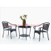 Outdoor Rattan Leisure Garden Dining Set (JJ-S476&583)