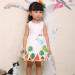 Printed Picutures Baby Girl Dress, Baby Clothes, Baby Products