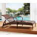 Rattan Beach Chair/Sun Bed/Lounger/Chaise Lounge (JJ-S751)