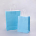 Shopping Paper Bag with Paper Handle in High Quality