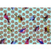 Silk Available Pirnt Artwork 16