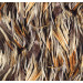 Silk Available Pirnt Artwork 20
