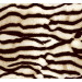 Silk Available Pirnt Artwork 35