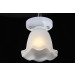 Single Light Crystal Ceiling Lamp with Glass Shape Em2108-1