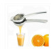 Stainless Steel Lemon Squeezer/Juicer