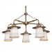Unique Design Chandelier Light Pendant Lamp (SL2155-5)