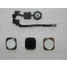 iPhone 5S Home Button Flat Cable