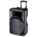 12" 2-Way PA Speaker Box / Plastic Speaker/Cabinet